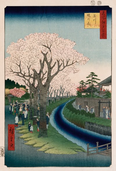 Fiori di ciliegio, argine del fiume Tama da Ando or Utagawa Hiroshige
