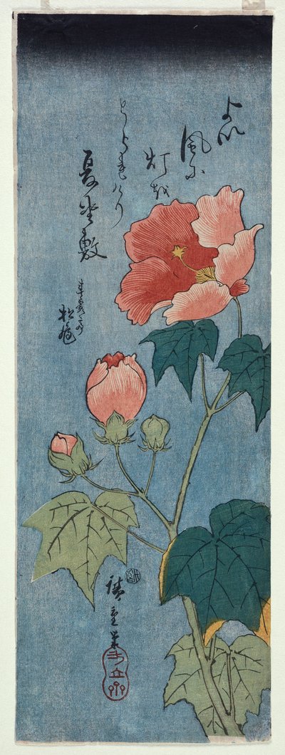 Papaveri Fioriti, Tanzaku da Ando or Utagawa Hiroshige