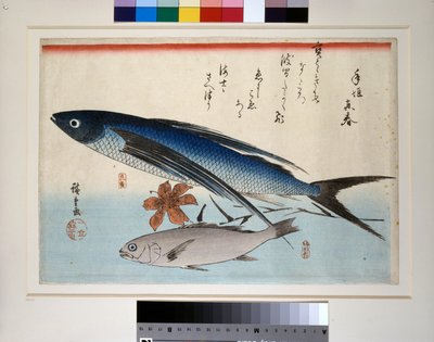 Pesci volanti, pesci ishimochi e gigli da Ando or Utagawa Hiroshige
