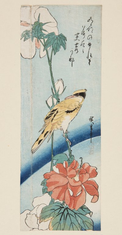 Ibisco e Oriolo dal Nuca Nera da Ando or Utagawa Hiroshige