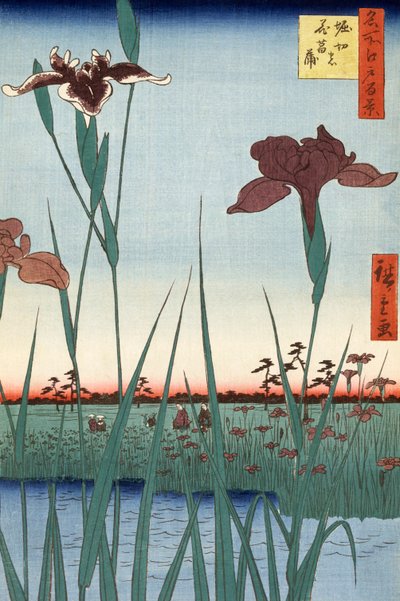 Giardino degli iris di Horikiri di Utagawa Hiroshige da Ando or Utagawa Hiroshige