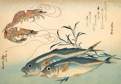 Sgombro giapponese e gambero giapponese da Ando or Utagawa Hiroshige