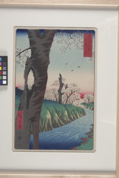 Koganei nella provincia di Musashi (Musashi Koganei) da Ando or Utagawa Hiroshige