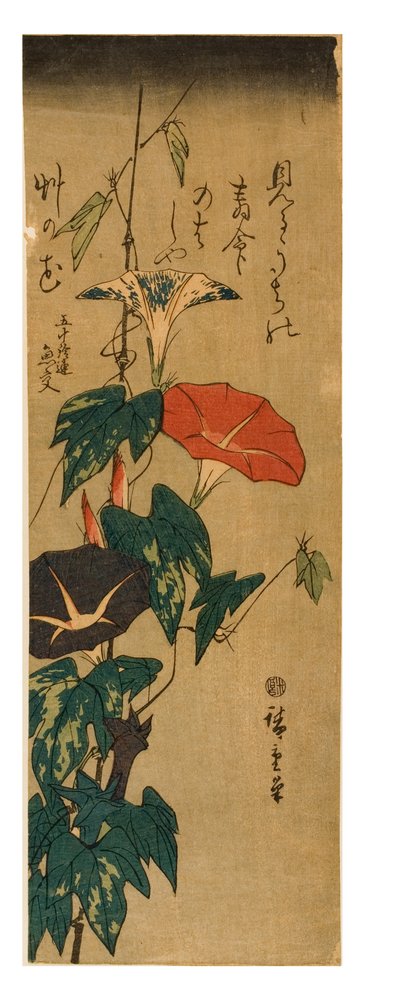 Glorie del mattino, c.1843-47 (stampa su legno) da Ando or Utagawa Hiroshige