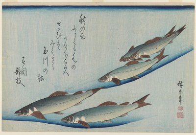 Scuola di cinque trote di mare, periodo Edo da Ando or Utagawa Hiroshige