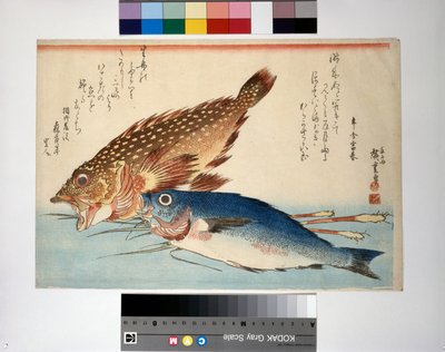 Pesce scorpione e pesce isaki con zenzero di radice da Ando or Utagawa Hiroshige