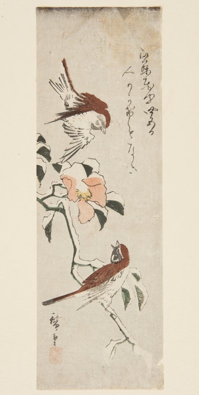 Passeri e camelia nella neve da Ando or Utagawa Hiroshige