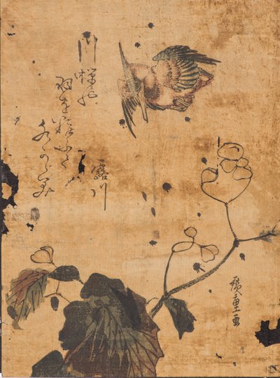Studio di uccello e pianta da Ando or Utagawa Hiroshige
