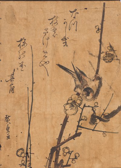 Studio di Uccello su un Ramo da Ando or Utagawa Hiroshige
