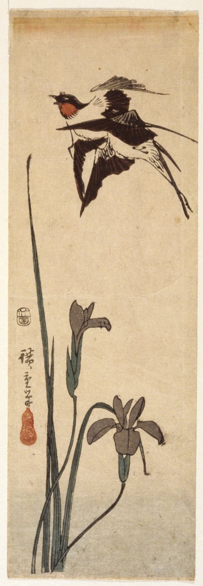 Rondini e iris da Ando or Utagawa Hiroshige