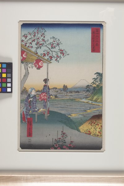 Teahouse con vista del Monte Fuji a Zōshigaya da Ando or Utagawa Hiroshige