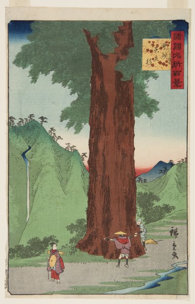 Il Cedro Yatate nella provincia di Kai da Ando or Utagawa Hiroshige