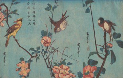 Cinciallegra e Camelie, Passero e Rose Selvatiche e Oriole dal Collo Nero e Fiori di Ciliegio, c.1833 da Ando or Utagawa Hiroshige