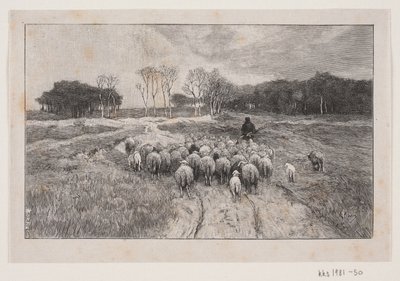 Paesaggio con pecore e pastore da André Bork