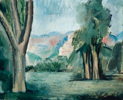 Paesaggio della Provenza da Andre Derain