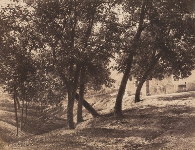 Alberi, c. 1855 da André Giroux