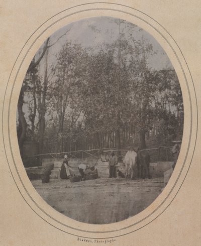 Scena di villaggio (sud della Francia) da Andre Adolphe Eugene Disderi