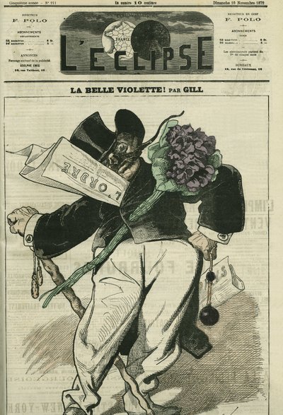 La bella viola, un