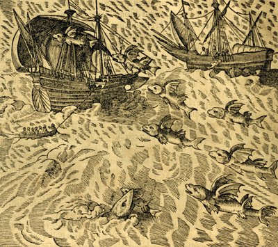 Pesci Volanti nei Mari Tropicali, incisione da Cosmographie Universelle, di André Thevet (1504-1592), Parigi da Andre Thevet