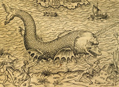 Mostro marino, incisione dalla Cosmologia Universale, di Andre Thevet (1504-1592), Parigi da Andre Thevet