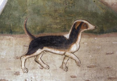 Atri, Duomo, cane / Affresco di A.Delitio da Andrea Delitio