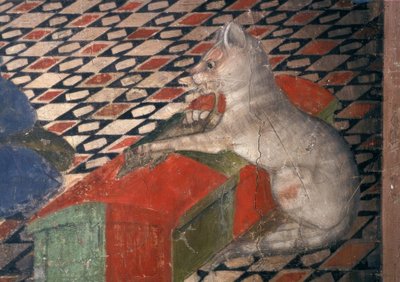 Duomo di Atri, gatto da Andrea Delitio