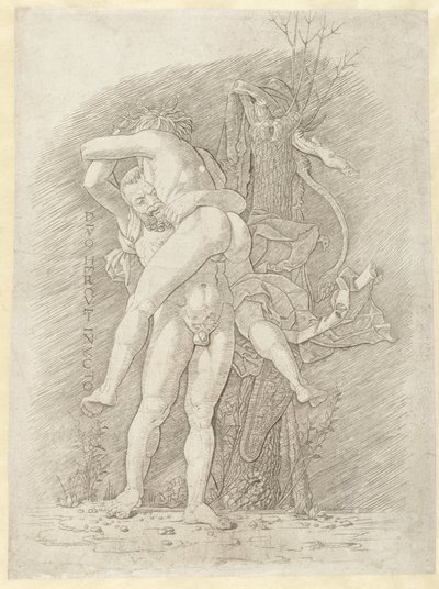 Ercole e Anteo da Andrea Mantegna (school of)