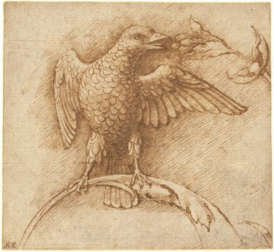 Un uccello posato su un ramo con frutti da Andrea Mantegna