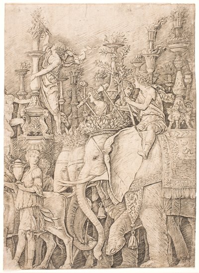 Elefanti che portano torce da Andrea Mantegna