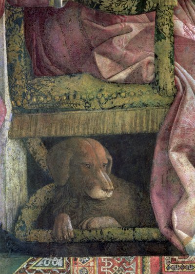 Rubino, il cane preferito del Marchese Ludovico Gonzaga III di Mantova e della sua famiglia (dalla Camera degli Sposi o Camera Picta) da Andrea Mantegna