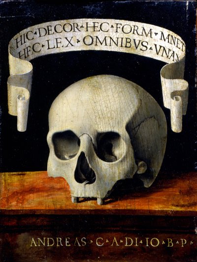 Ritratto di un Uomo - Memento Mori da Andrea Previtali called Cordeliaghi