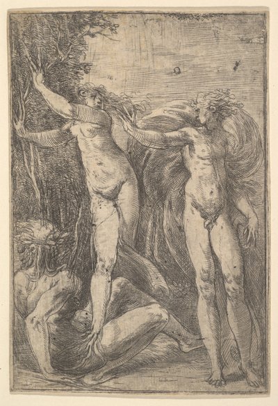 Apollo e Dafne da Andrea Schiavone