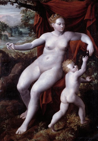 Venere e Cupido da Andrea Semino
