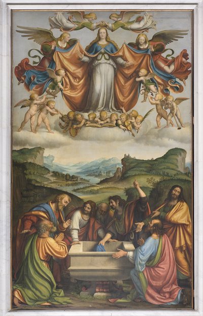 Assunzione della Vergine Maria, c.1520 da Andrea Solario