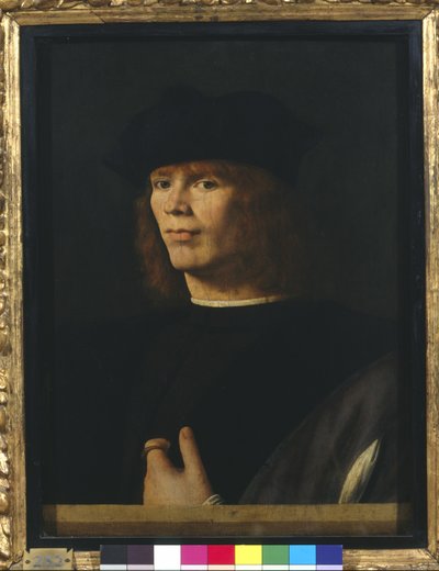 Ritratto di un giovane uomo da Andrea Solario