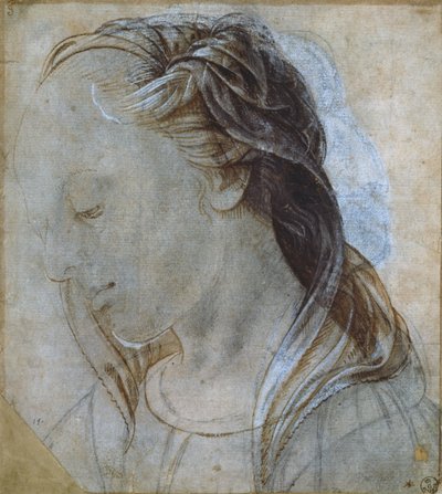 Testa femminile da Andrea Verrocchio