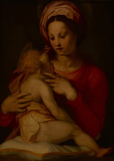 La Madonna col Bambino da Andrea del (attr.to) Sarto