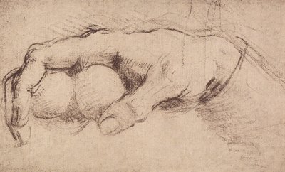 Una mano da Andrea del Sarto