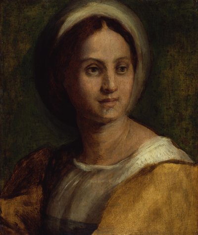  da Andrea del Sarto