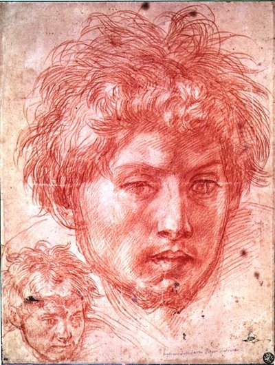 Testa di un Uomo da Andrea del Sarto
