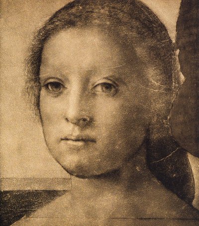 Testa di una giovane donna, disegno di Andrea del Sarto. Gabinetto dei Disegni e delle Stampe, Galleria degli Uffizi, Firenze da Andrea del Sarto