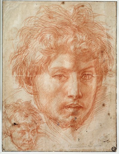 Testa di uomo da Andrea del Sarto