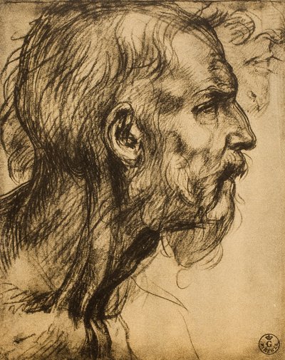 Testa del profeta Zaccaria da Andrea del Sarto