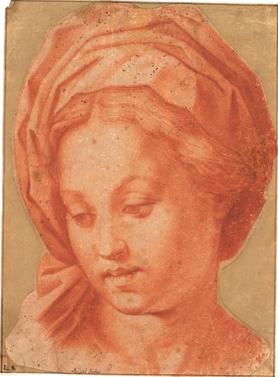 Madonna Borghese da Andrea del Sarto
