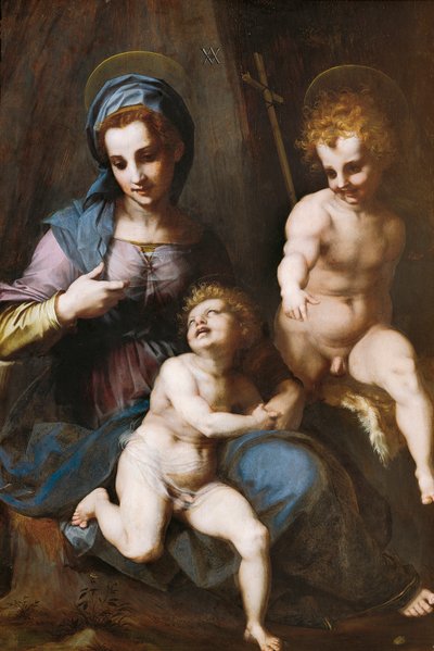 Madonna con Bambino e San Giovanni Battista infante da Andrea del Sarto