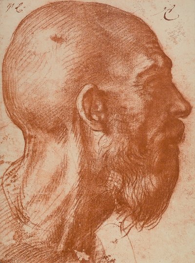 Testa di uomo di profilo da Andrea del Sarto