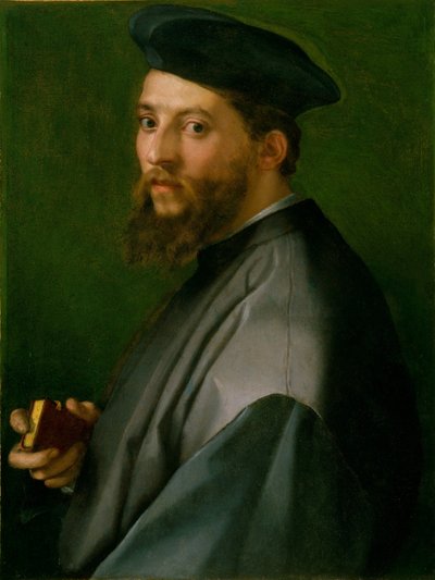 Ritratto di un uomo da Andrea del Sarto