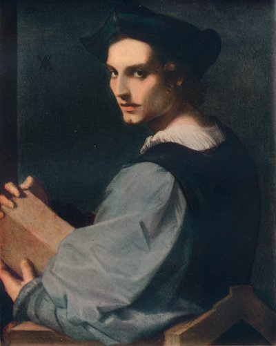 Ritratto di un Giovane Uomo, c1517, 1911 da Andrea del Sarto