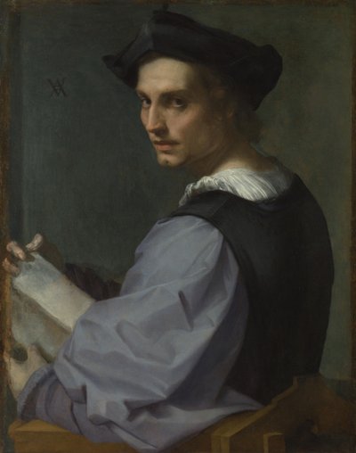 Ritratto di un giovane uomo, ca 1518 da Andrea del Sarto