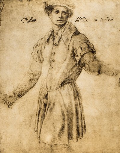 Ritratto di un giovane fiorentino da Andrea del Sarto